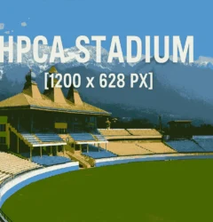 Reddybook Review: How This Innovative Platform Is Transforming Digital Engagement