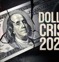 Lotus365 Review: How the Platform, Lotus365 ID & cricbet99 Elevate Online Gaming Experiences