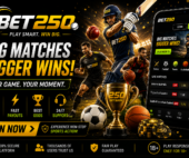 Betbook250 vs Cricket Online ID – Features, Access & User Experience